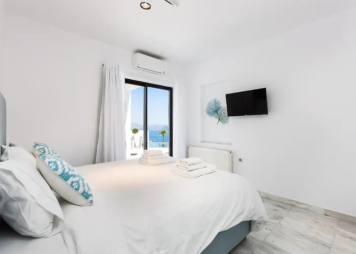 Βίλα Paul's Mansion